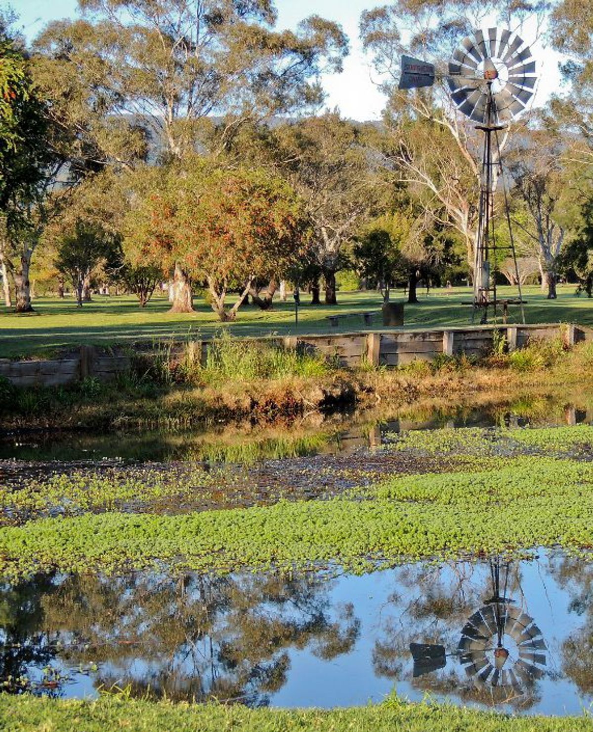A windmill beside a pond on the grounds of Jamberoo Golf Club