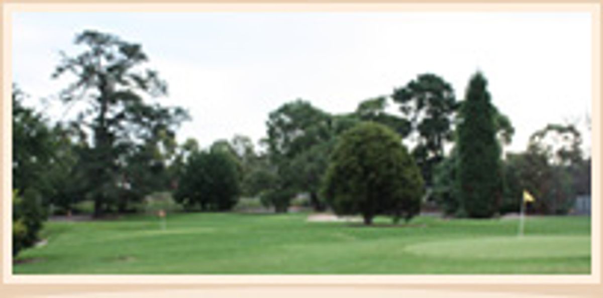 A small green with red flag at Waverley Pitch & Putt Golf Course, surrounded by trees.