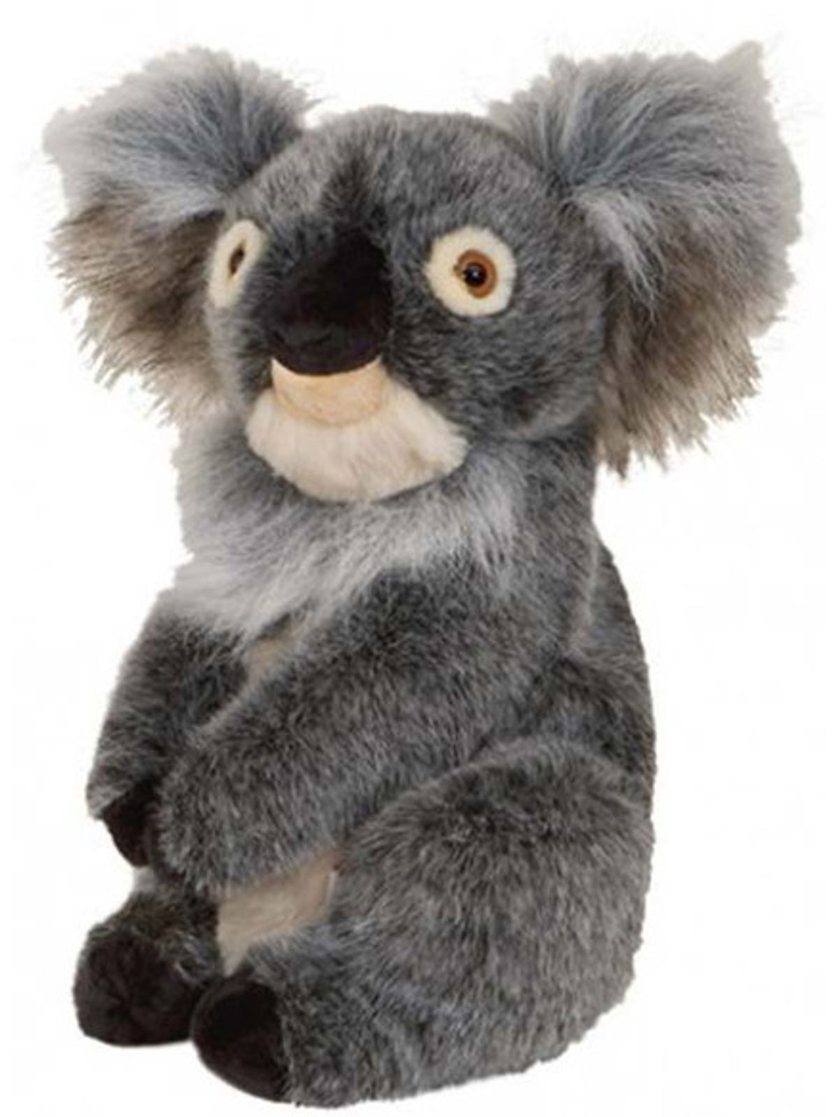 Daphne's Koala Headcover