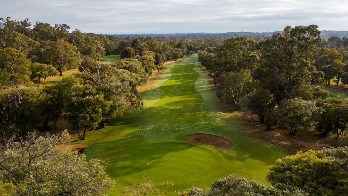 Aerial view down a tree-lined fairway to a bunkered green at Capel Golf Club.