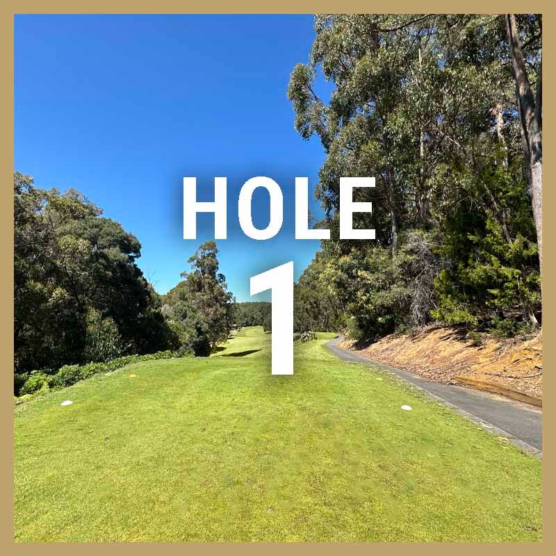 The 1st hole fairway at Ulverstone Golf Course, bordered by tall eucalypt trees, with a 'Hole 1' overlay from the club's course tour.