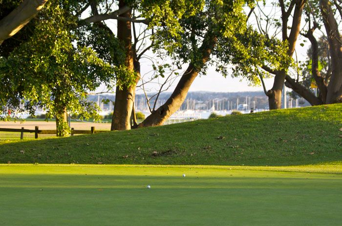 A green at Beverley Park Golf Club framed by trees, with the marina and harbour visible in the background.