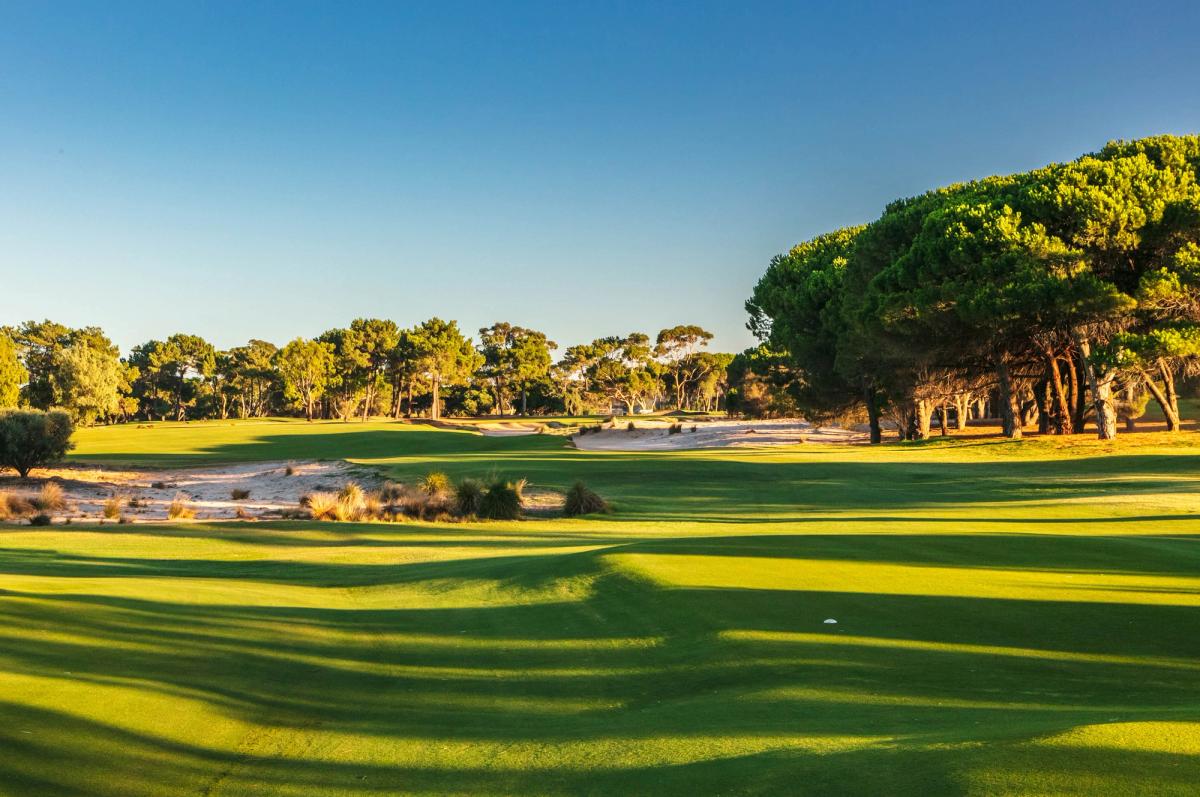 A fairway lined with pine trees and sandy waste bunkers at The Grange Golf Club, Adelaide