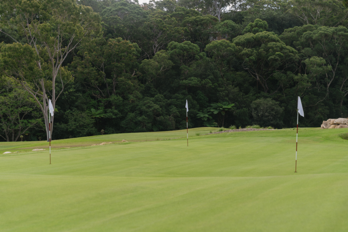 Putting green with flags at Newgreens Chatswood surrounded by bushland
