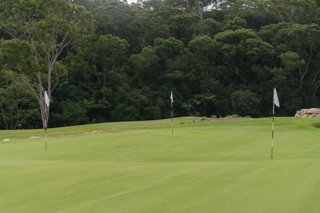 Putting green with flags at Newgreens Chatswood surrounded by bushland