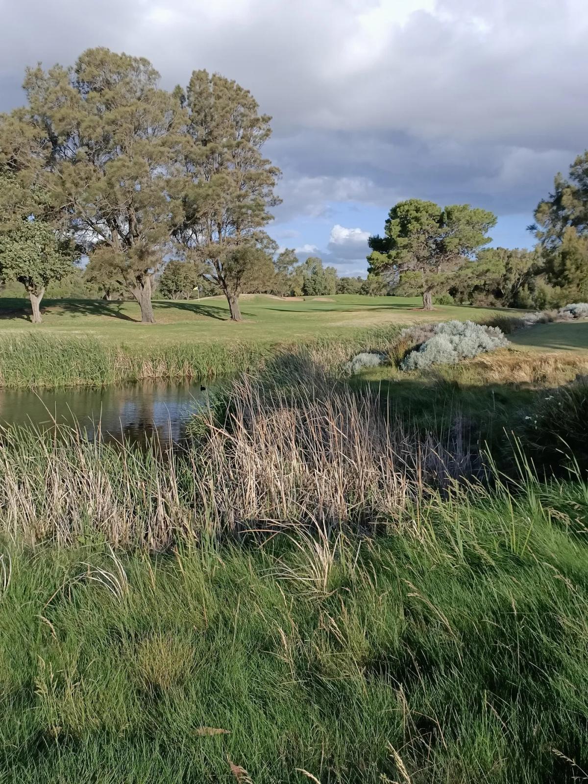West Beach Parks Golf, West Beach SA