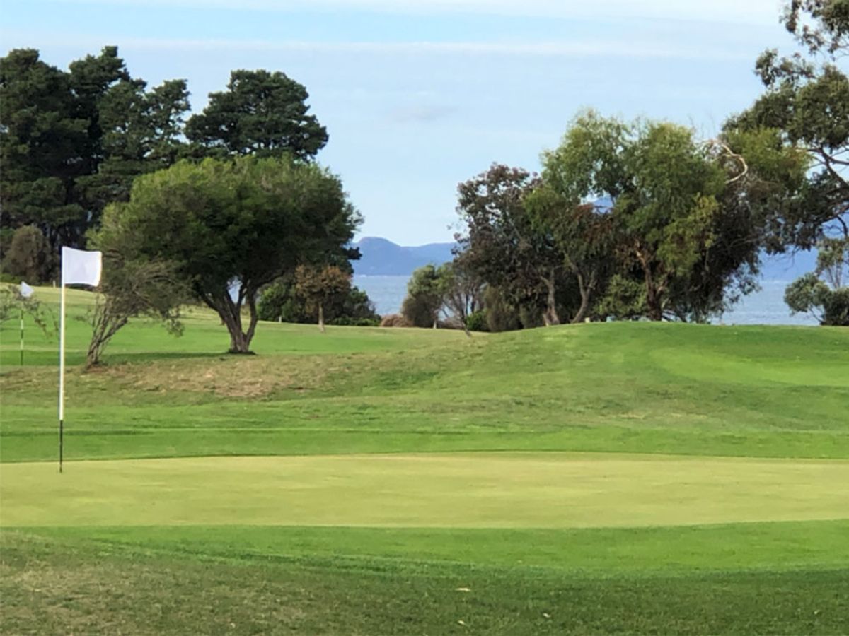 A green with white flag at Swansea Golf Club, framed by trees with views across the water to hills beyond.