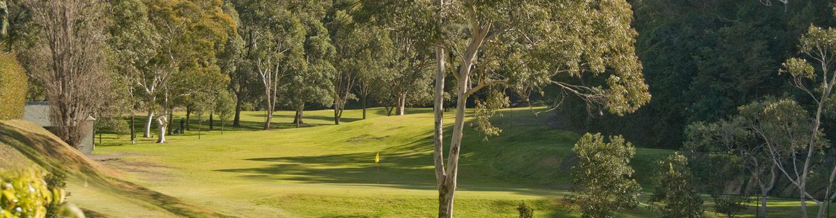 A tree-lined fairway leading to the green at Lane Cove Golf Club