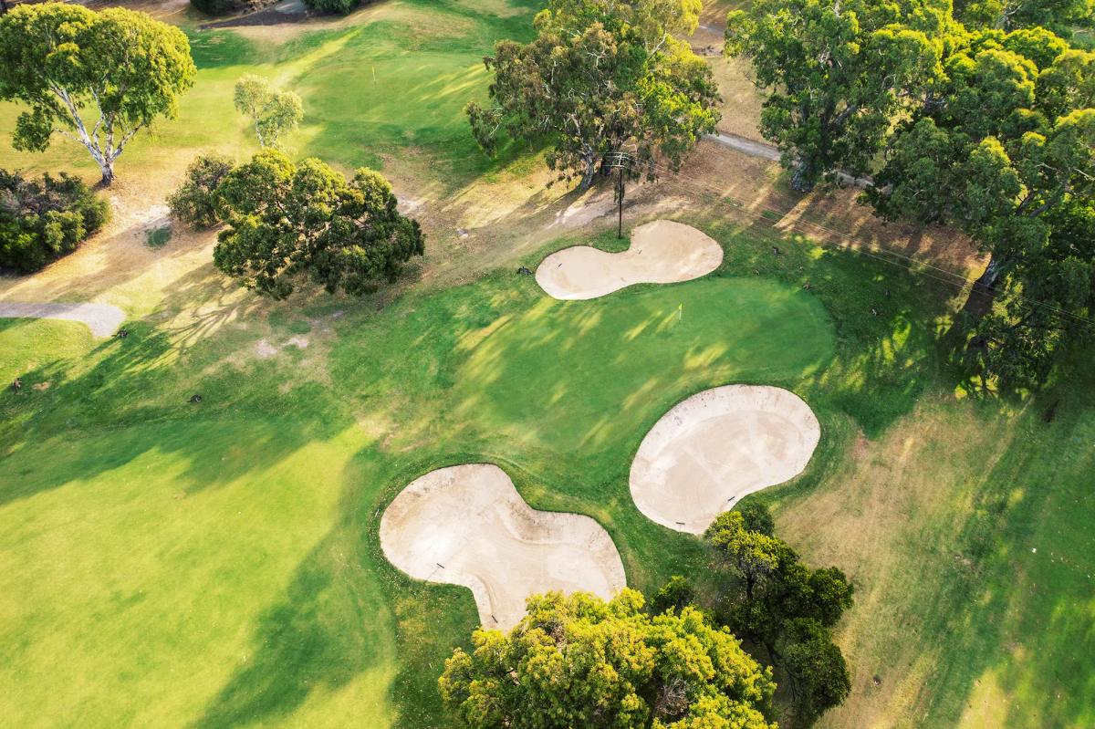 Aerial view of a bunkered green at The Vines Golf Club with kangaroos grazing on the fairway among gum trees.