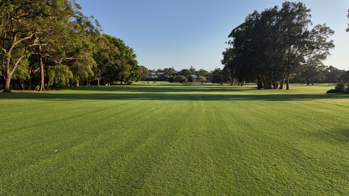 A tree-lined fairway at Manly Golf Club, Sydney, on a clear morning