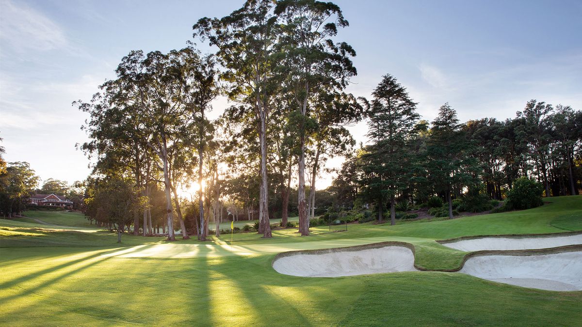 A green guarded by bunkers at Killara Golf Club, Sydney, lit by evening sun through tall trees