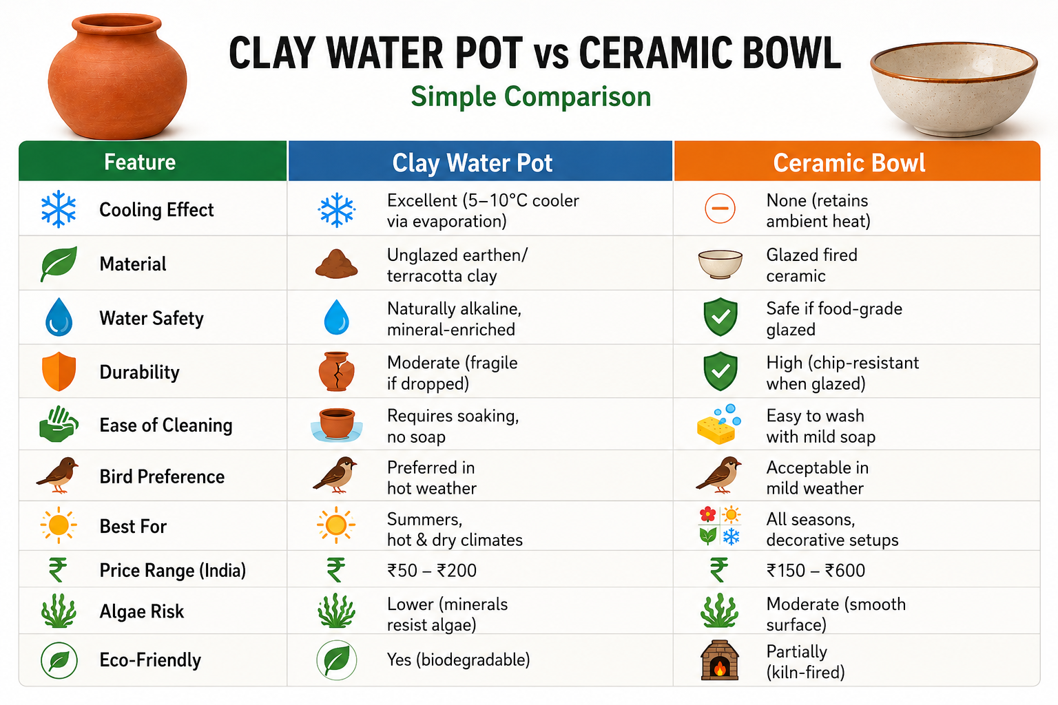 Clay Water Pot vs Ceramic Bowl for Birds