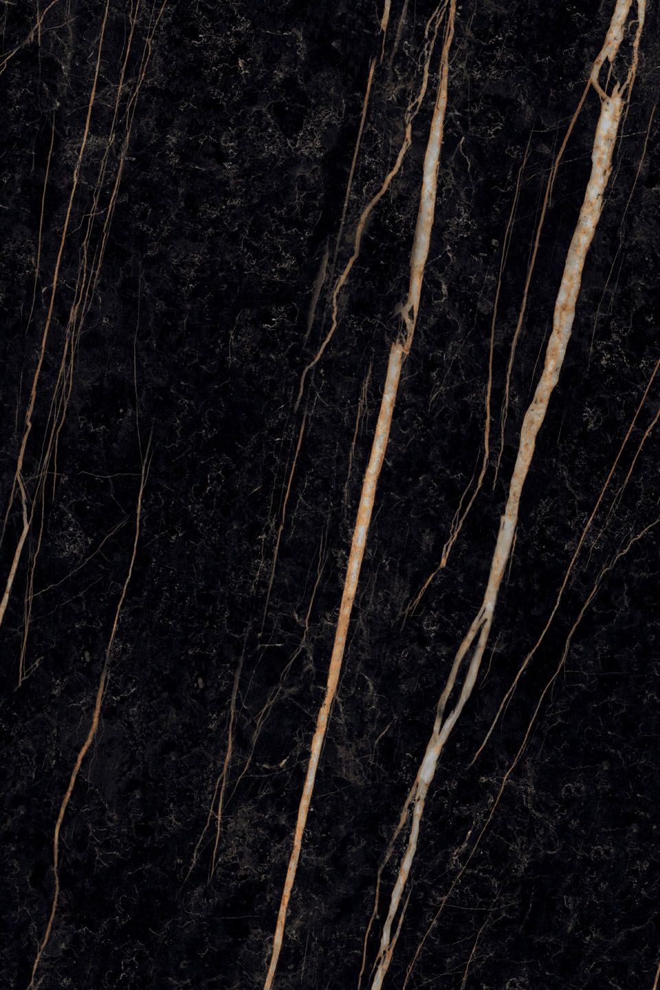 Sahara Noir 3