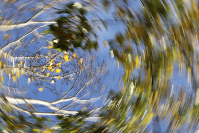 Blurry photo of tree spinning round and round