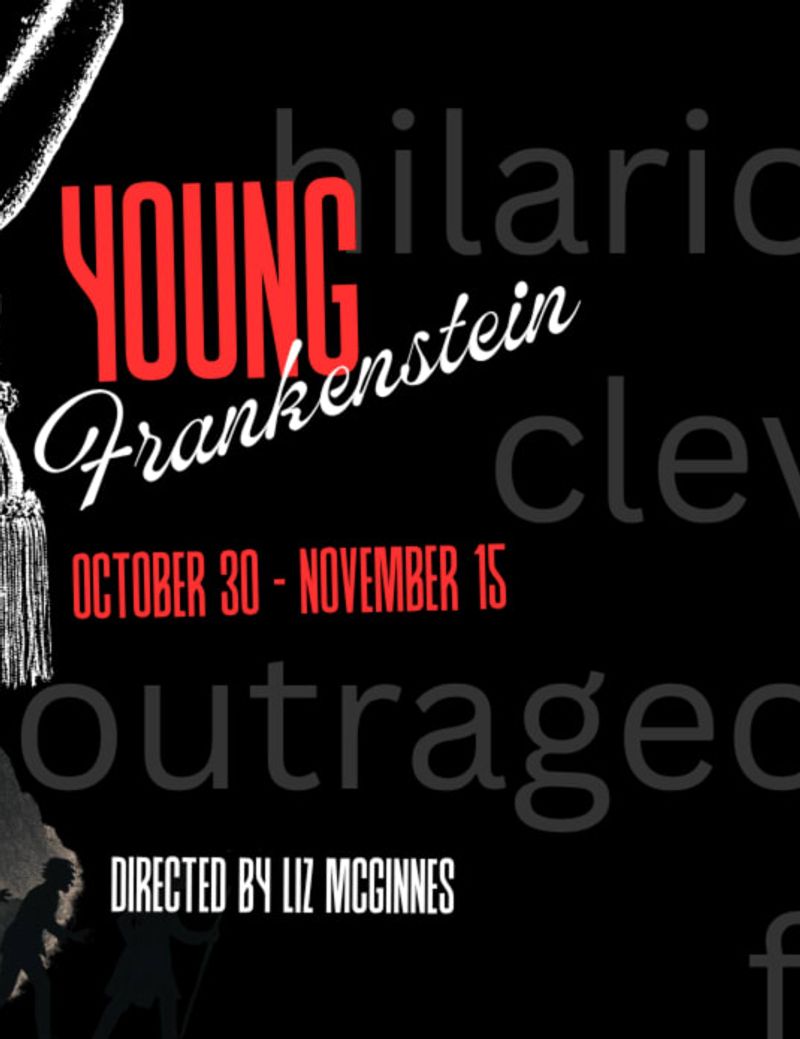 Tickets and information for Young Frankenstein