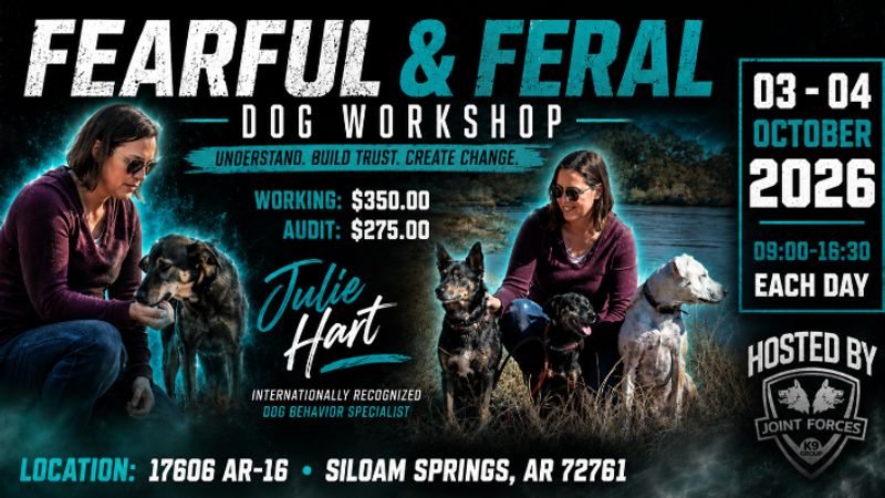 Fearful and Feral Dog Workshop with Julie Hart