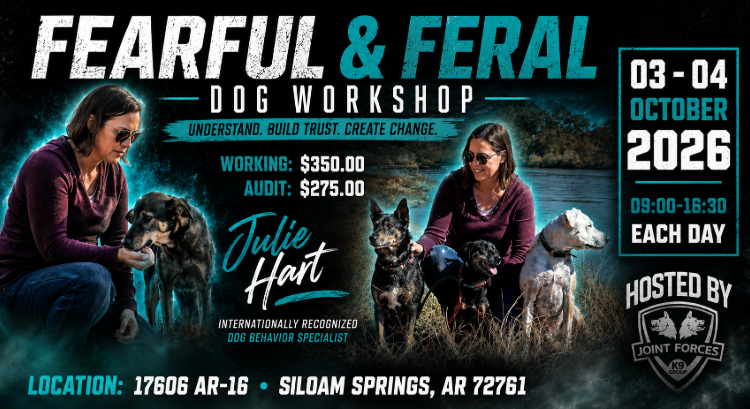 Fearful and Feral Dog Workshop with Julie Hart