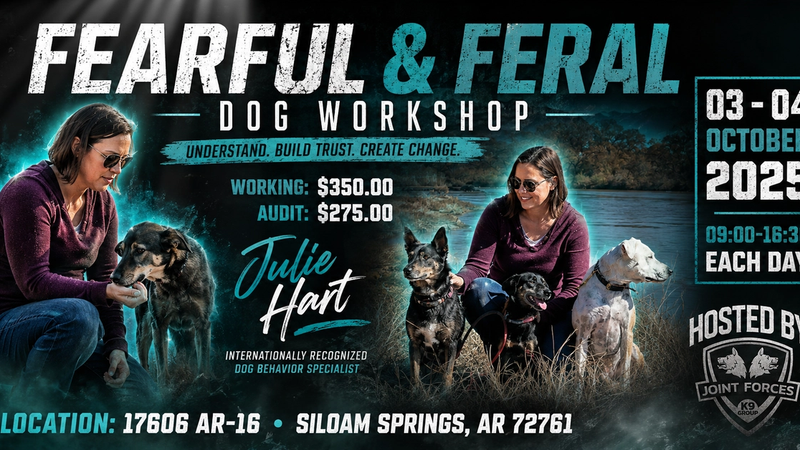 Fearful and Feral Dog Workshop with Julie Hart