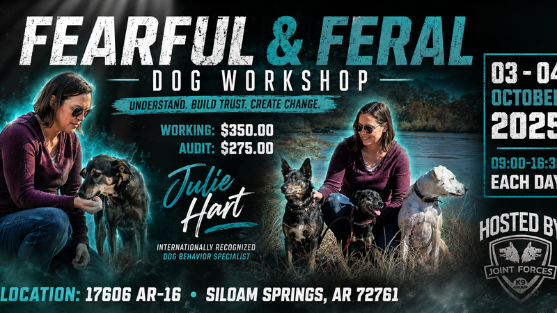 Fearful and Feral Dog Workshop with Julie Hart