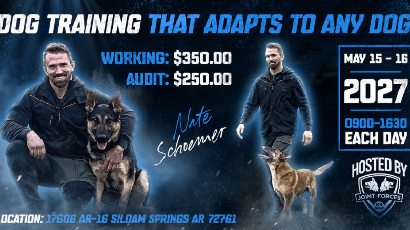 Nate Schoemer Workshop