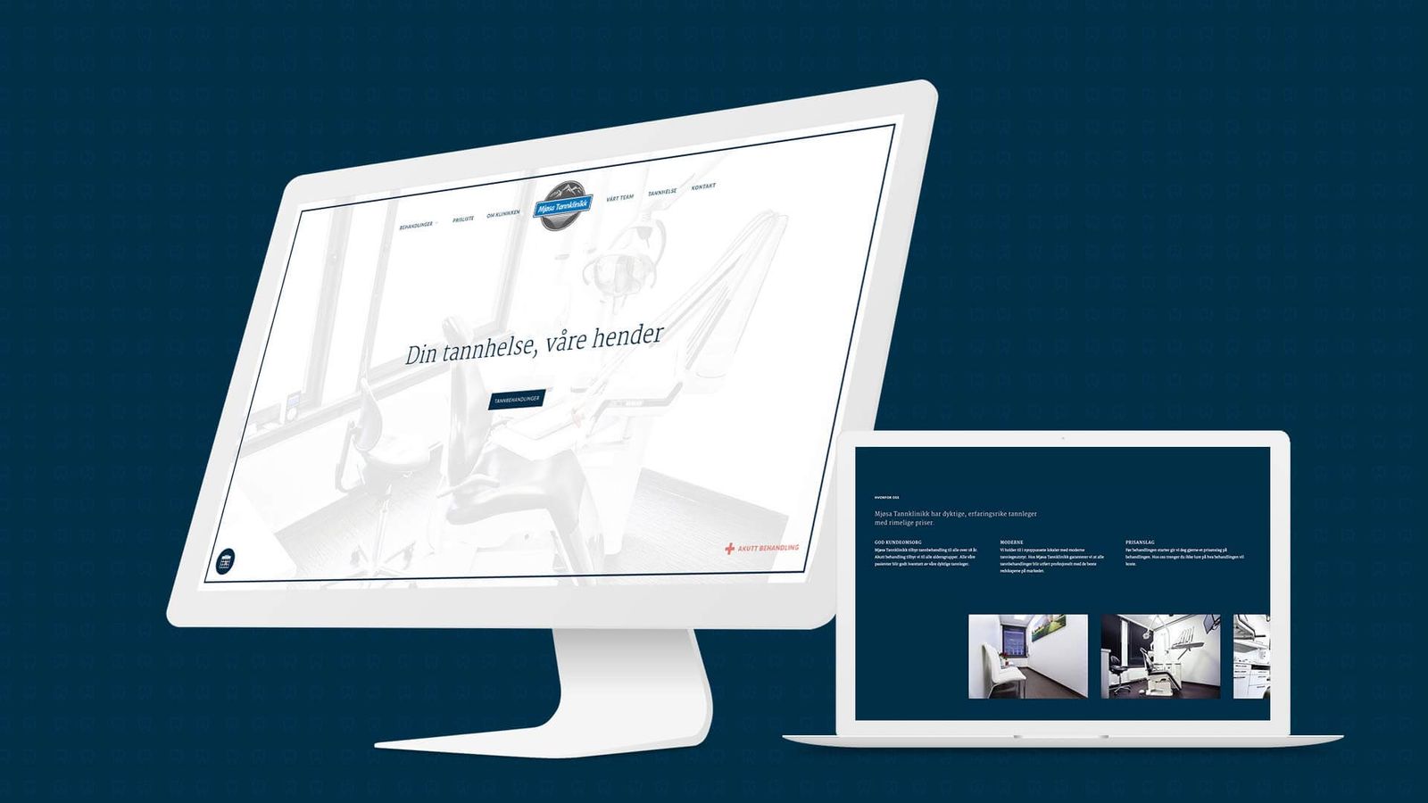 Mjøsa Tannklinikk, Norway - website screen