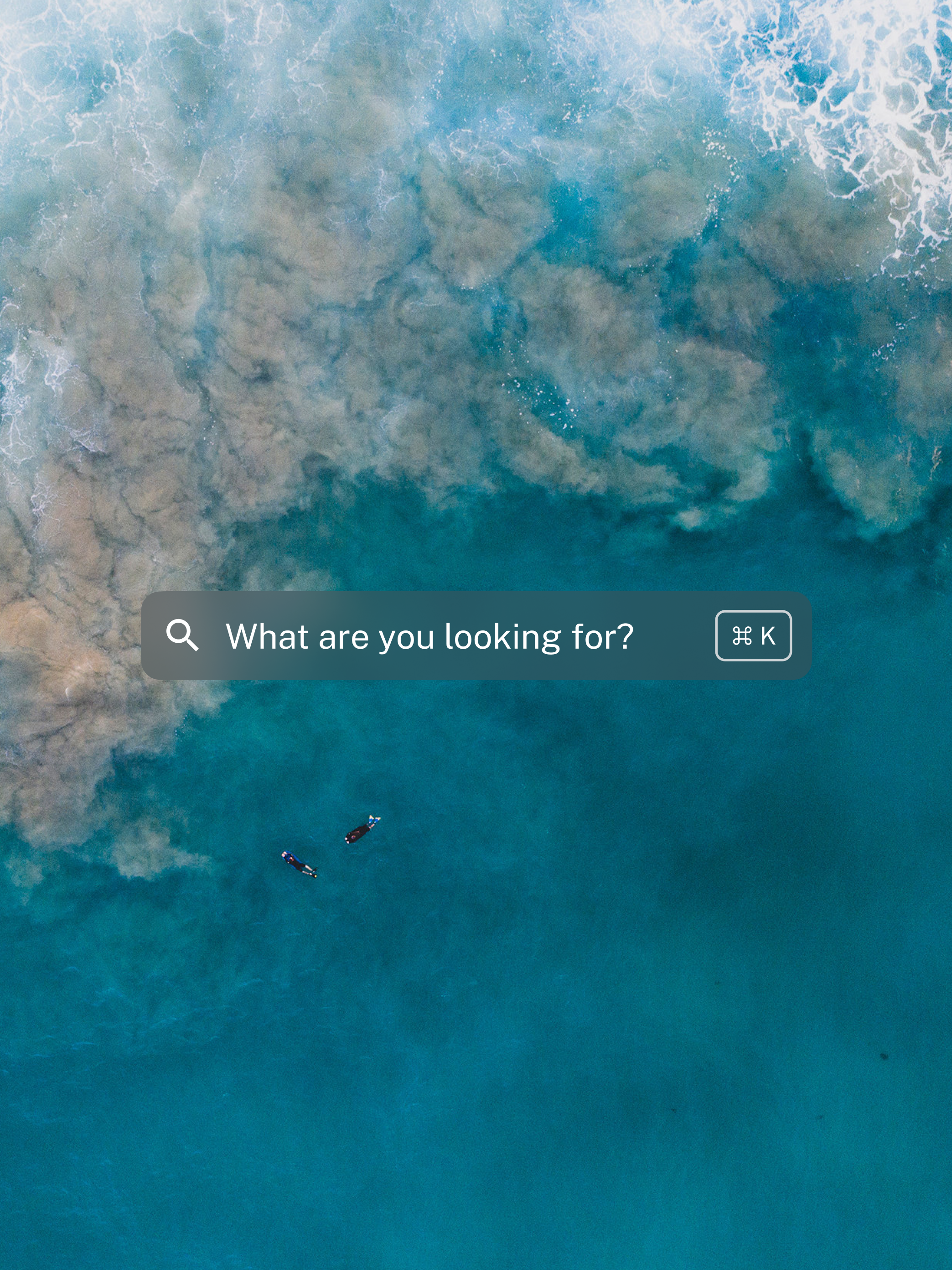 DestinationNSW search UI overlaid on an ocean landscape image