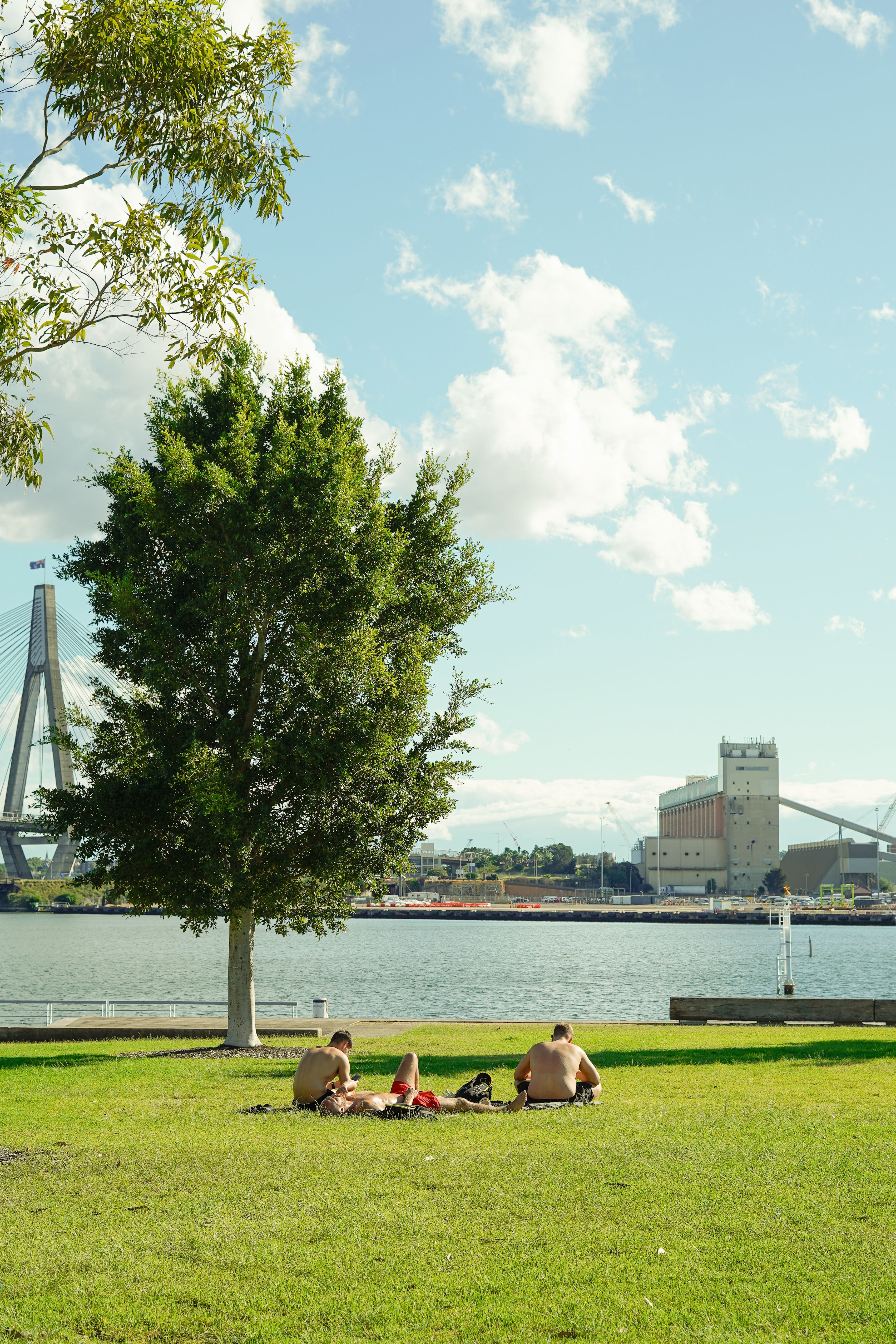 Three men relaxing in the sun at a waterfront park