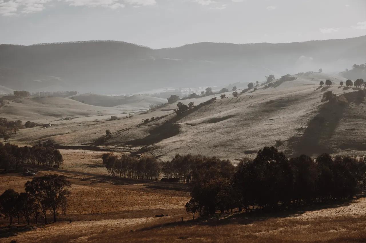 Australian outback, rolling hills and green plains