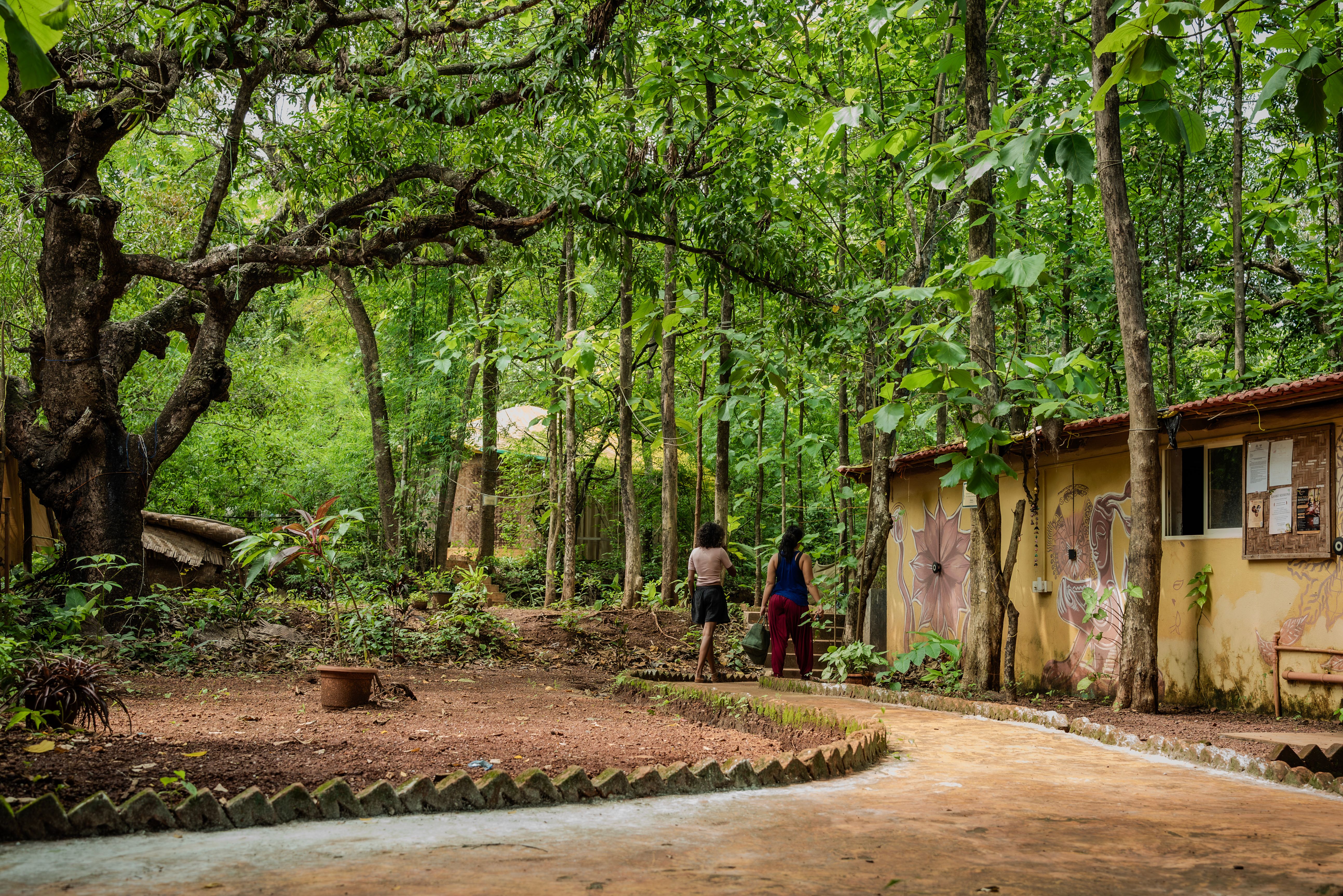 Nestled deep within a vibrant green canopy, rustic cottages and painted murals line paved garden trails, offering a peaceful, nature-immersed escape from the everyday hustle.