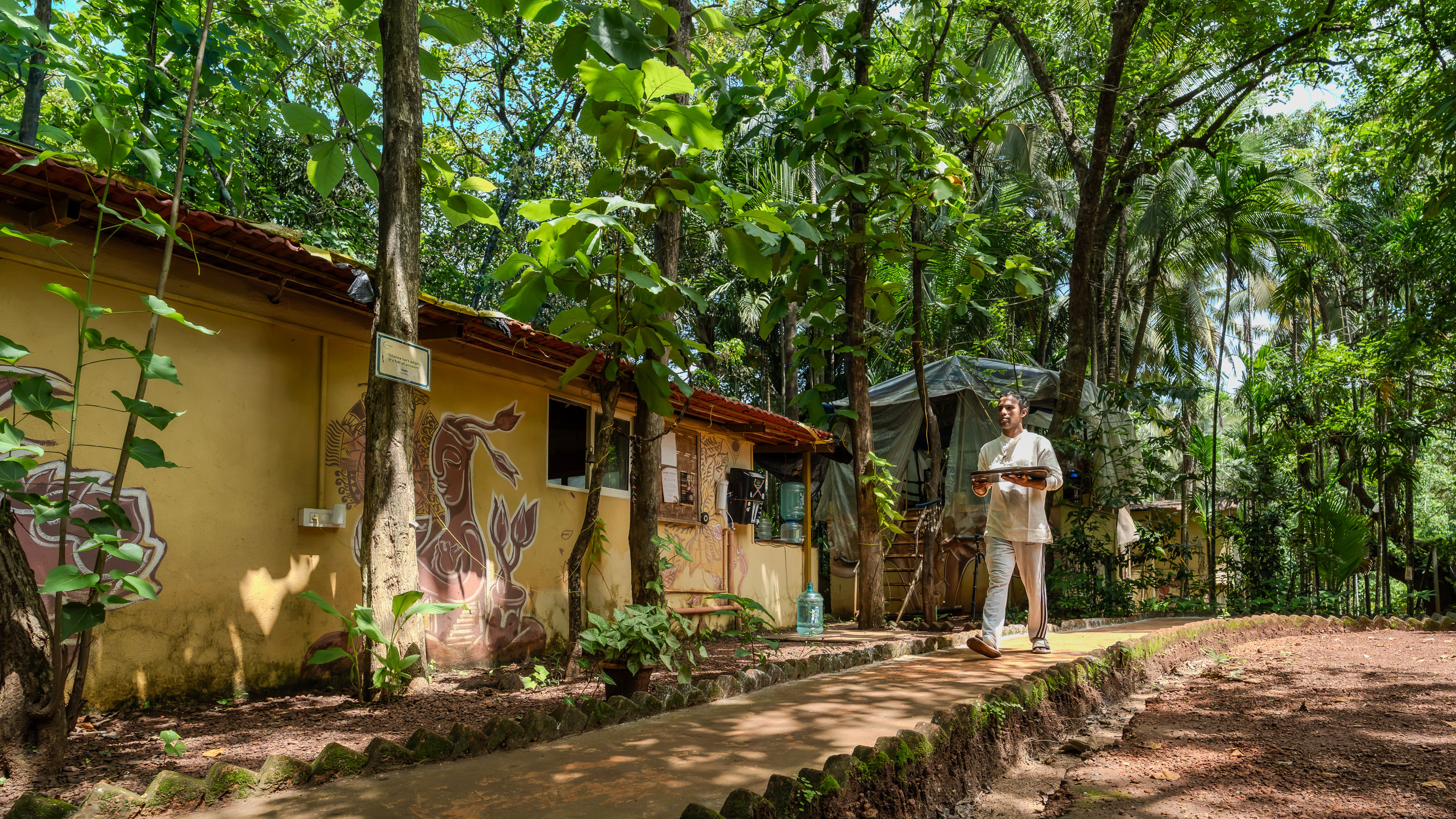 Woodland path winding through a tropical retreat