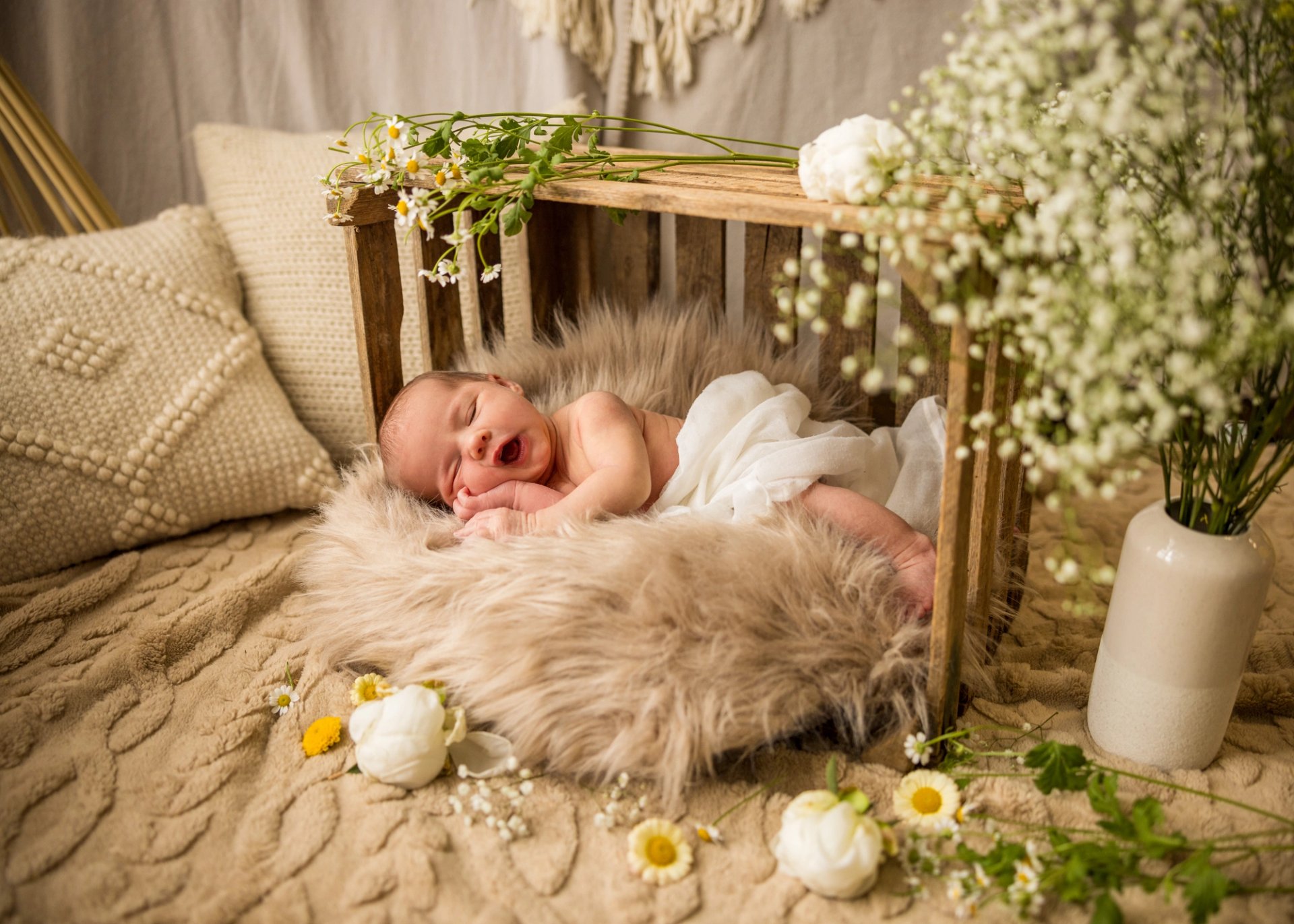 Babys & Neugeborene