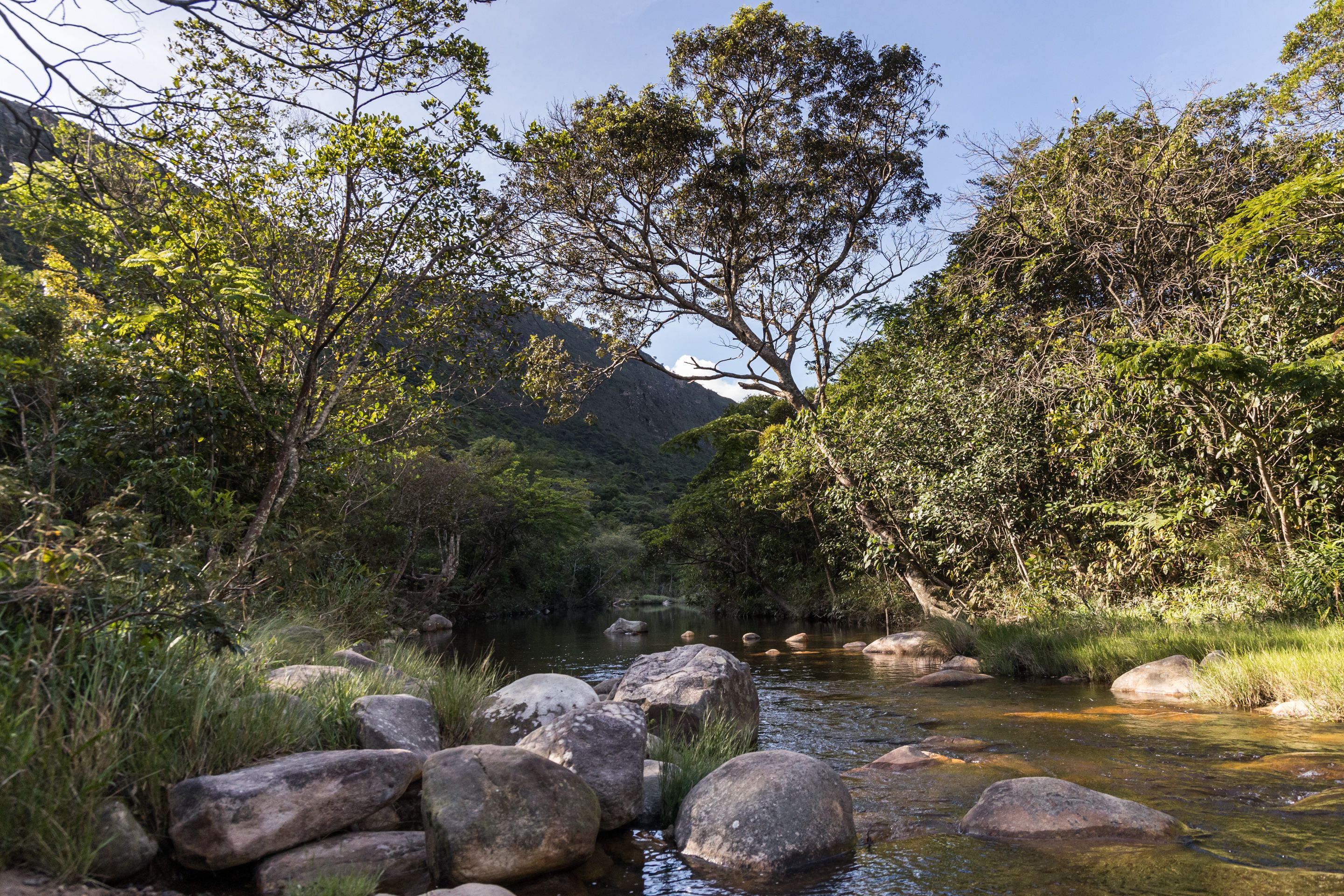 Eden Sanctuary