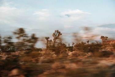 Iso Na Camera How to Master ISO in Your Camera – A Guide · Urth Magazine