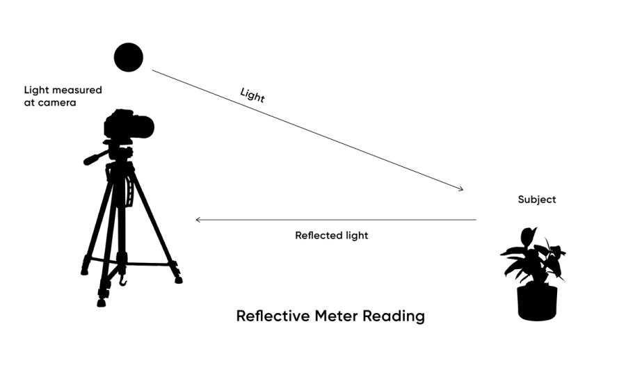 Exposure in Film Photography A Guide to Light Metering · Urth Magazine