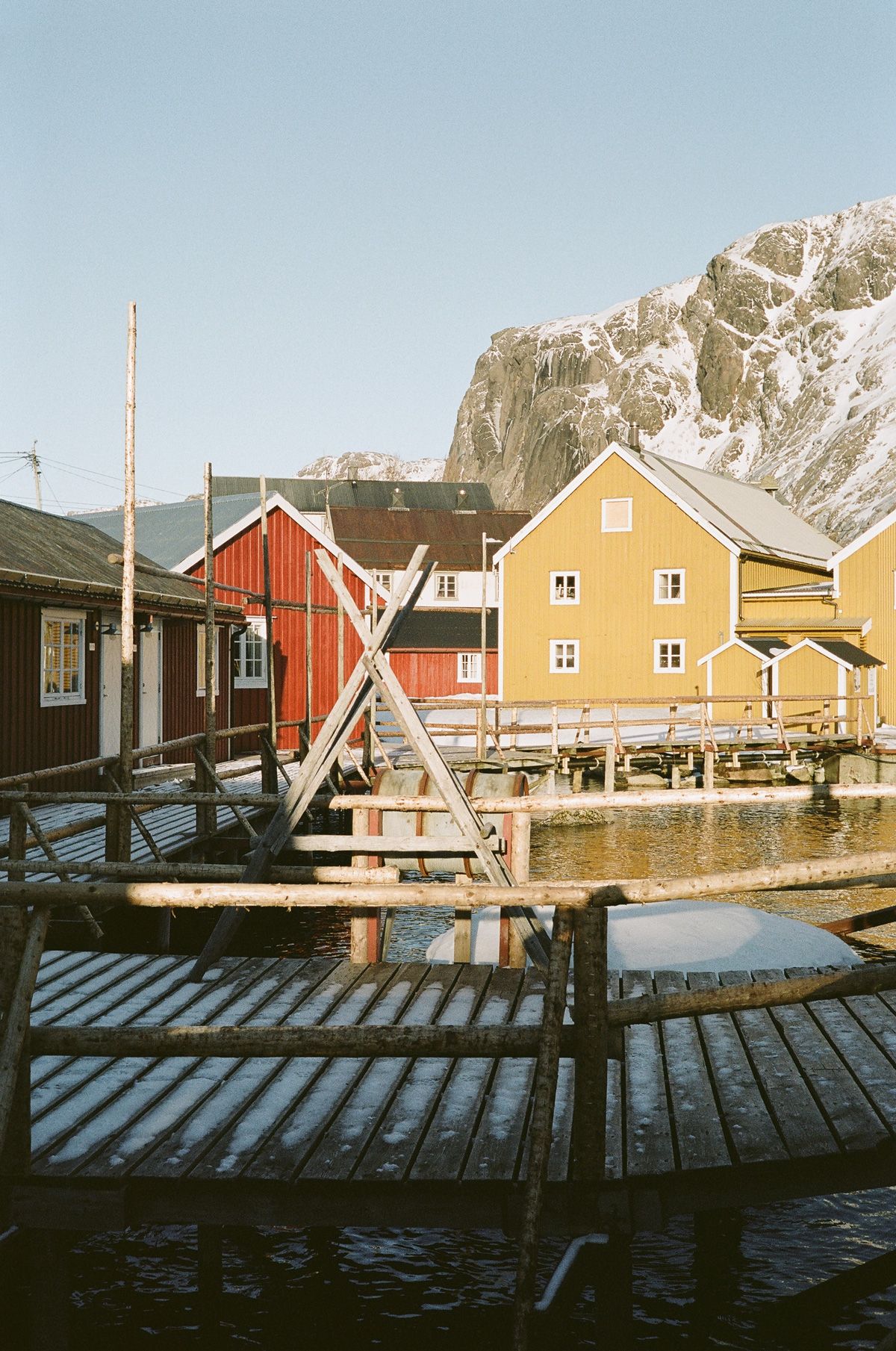 Plastic Bag with a Caught Fish in Norway, Lofoten Islands Stock Image -  Image of preparation, islands: 116755109