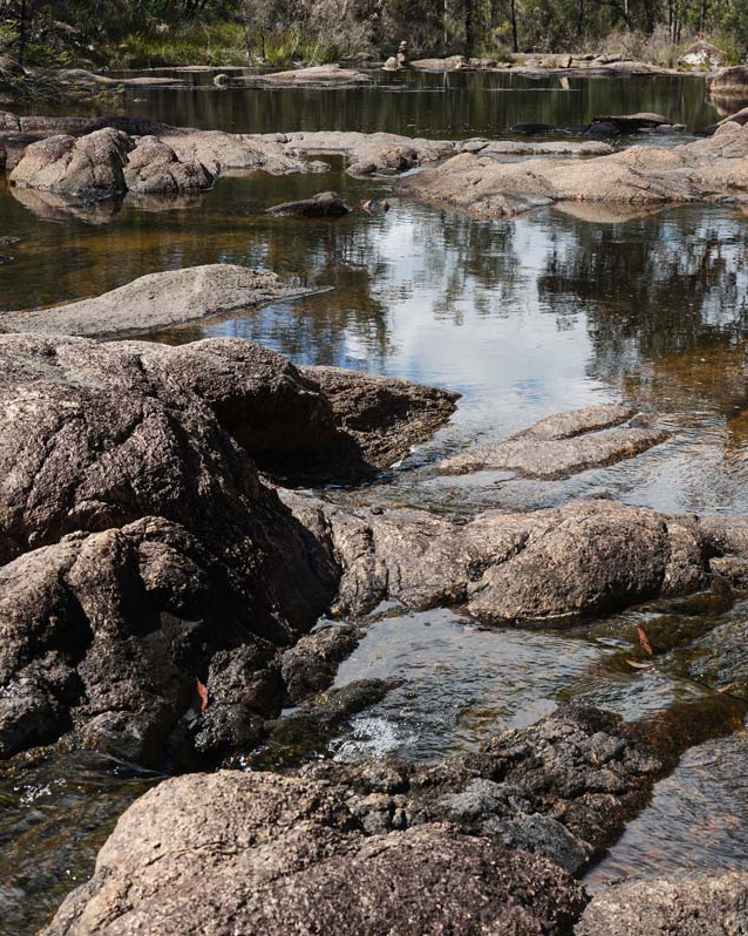 The Best Lens Filters for Nature Photography (2024) · Urth Magazine