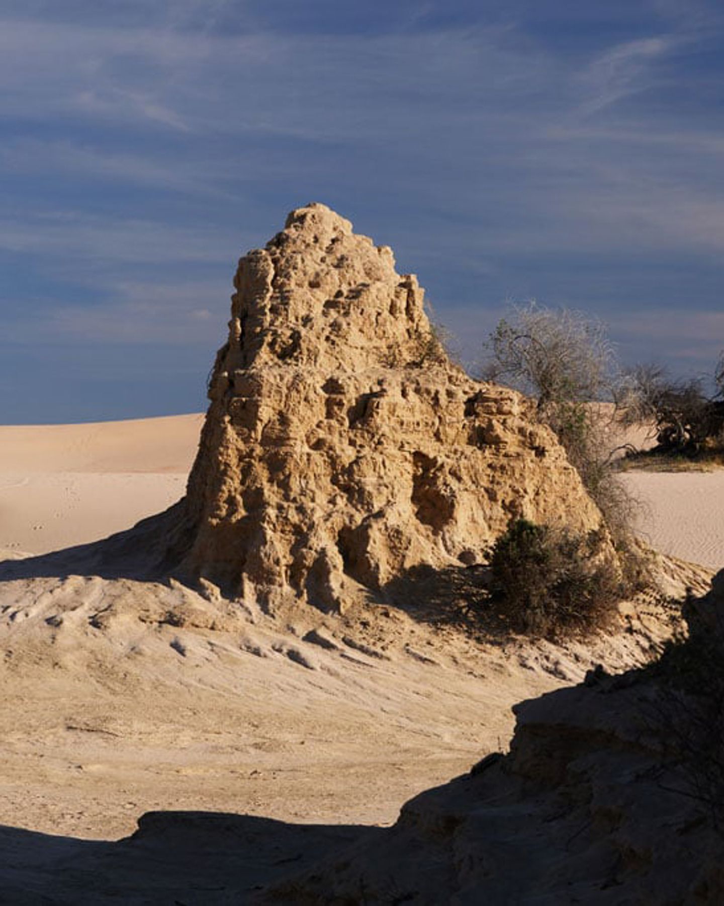 Understanding How Polarized Filters Work A Beginner's Guide (CPL