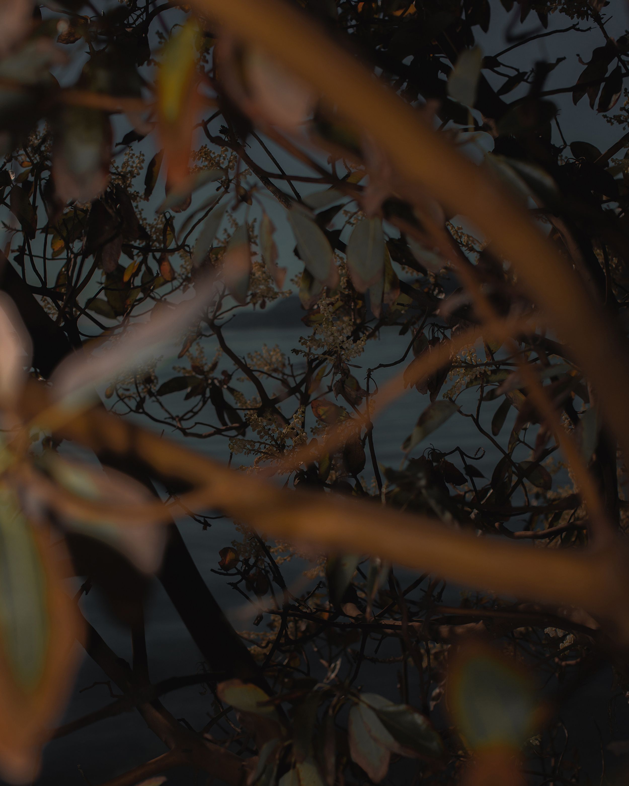 Urth Filter Kit Review "The Results are Incredible" · Urth Magazine