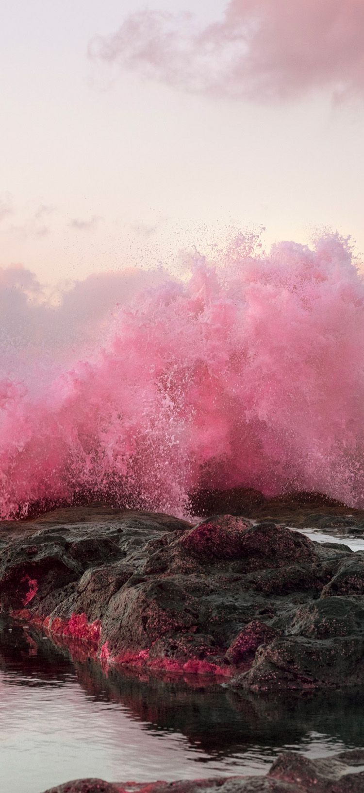 Inka & Niclas Lindergård Take Dazzling Photos of Nature to Challenge Our Expectations Of It