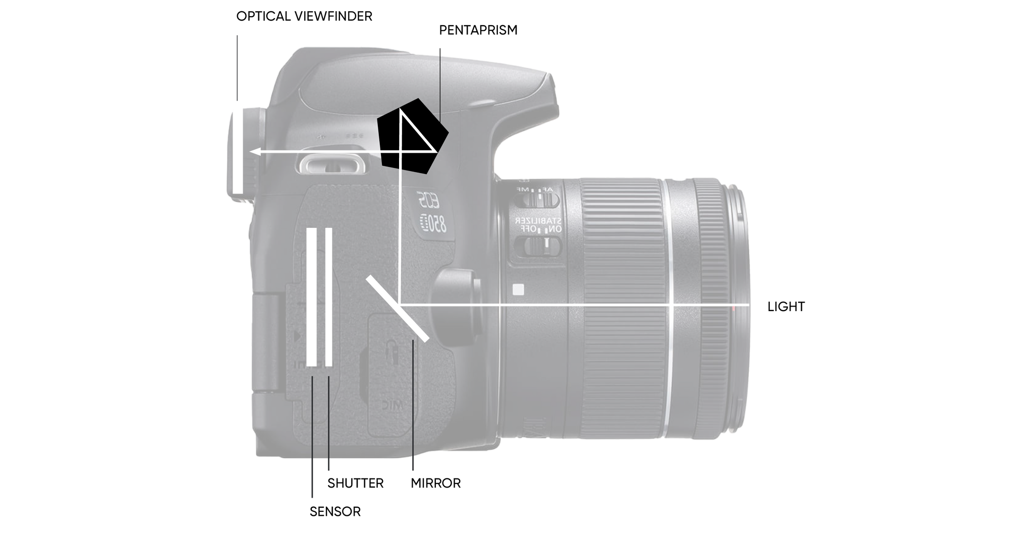 Best DSLR Cameras for Beginners · Urth Magazine