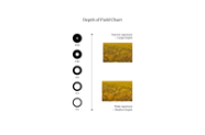 A Quick Guide To Depth Of Field Examples Photos Urth Magazine A Quick Guide To Depth Of Field Examples Photos Urth Magazine
