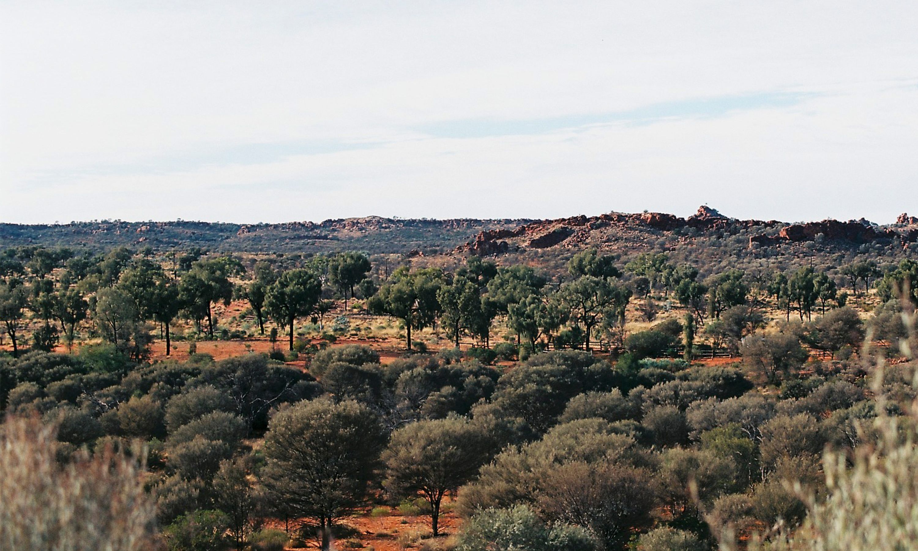 The Value of Indigenous Wisdom in Protecting the Environment