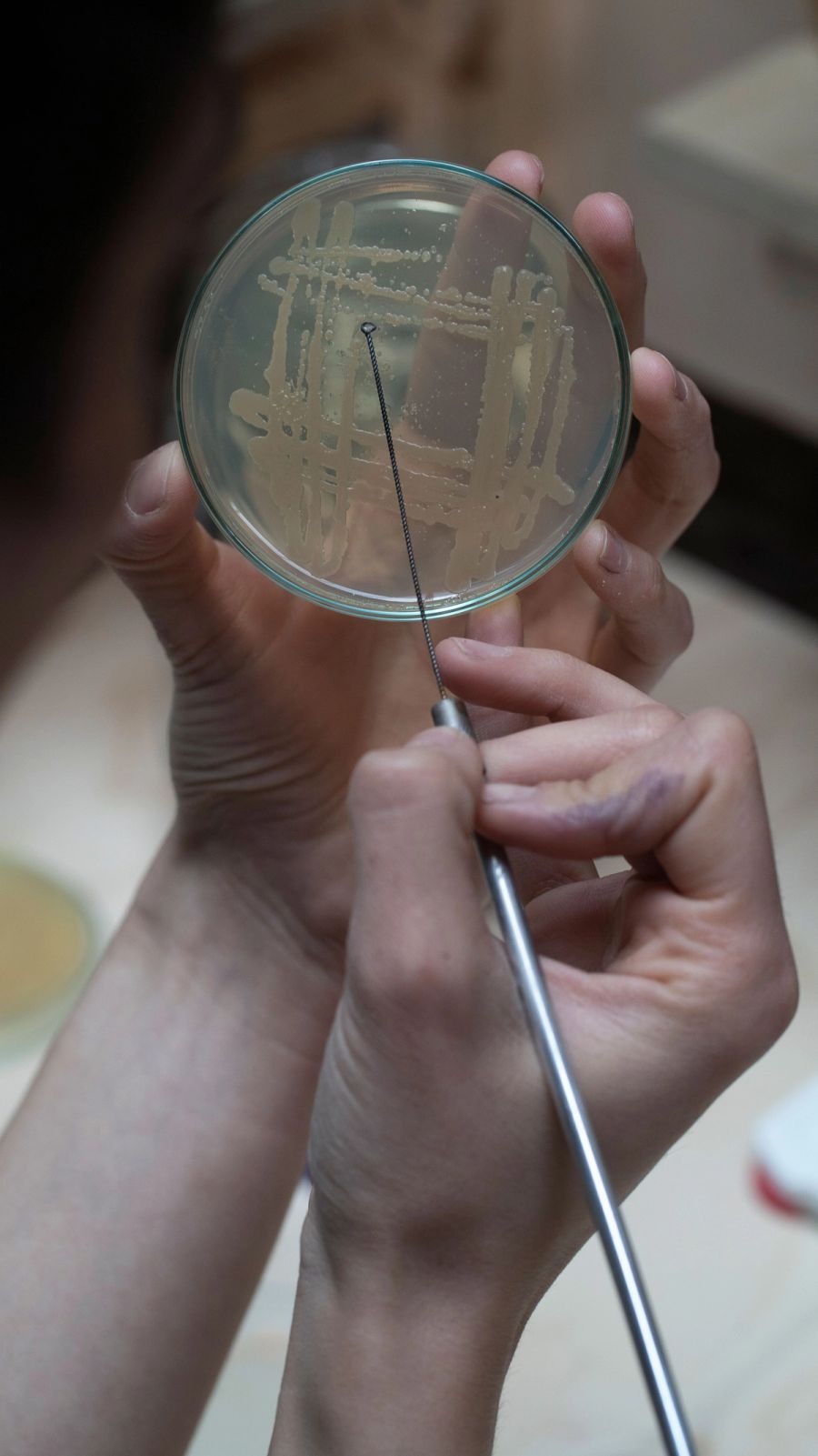 Nicole Chrysikou of BacTerra Makes Ceramics Without a Kiln Urth