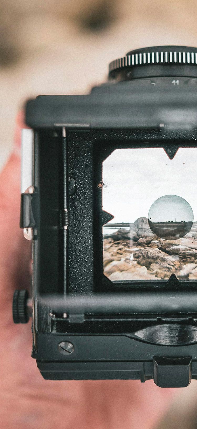 The 3 Best Medium Format Film Cameras | Urth Magazine · Urth Magazine