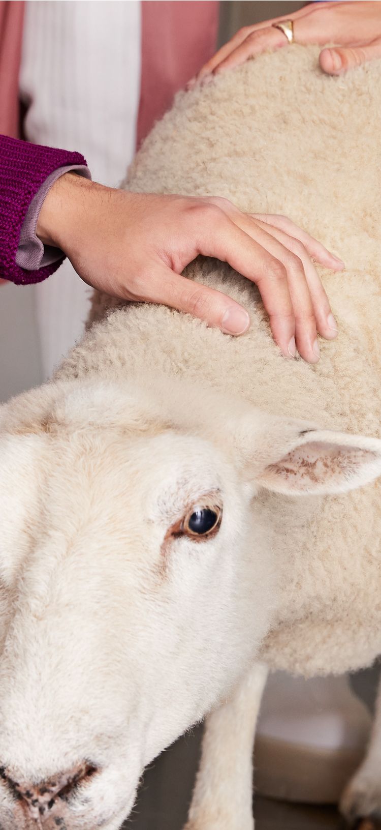 Can Fashion Heal the Planet? A Conversation on Regeneration with Sheep Inc.