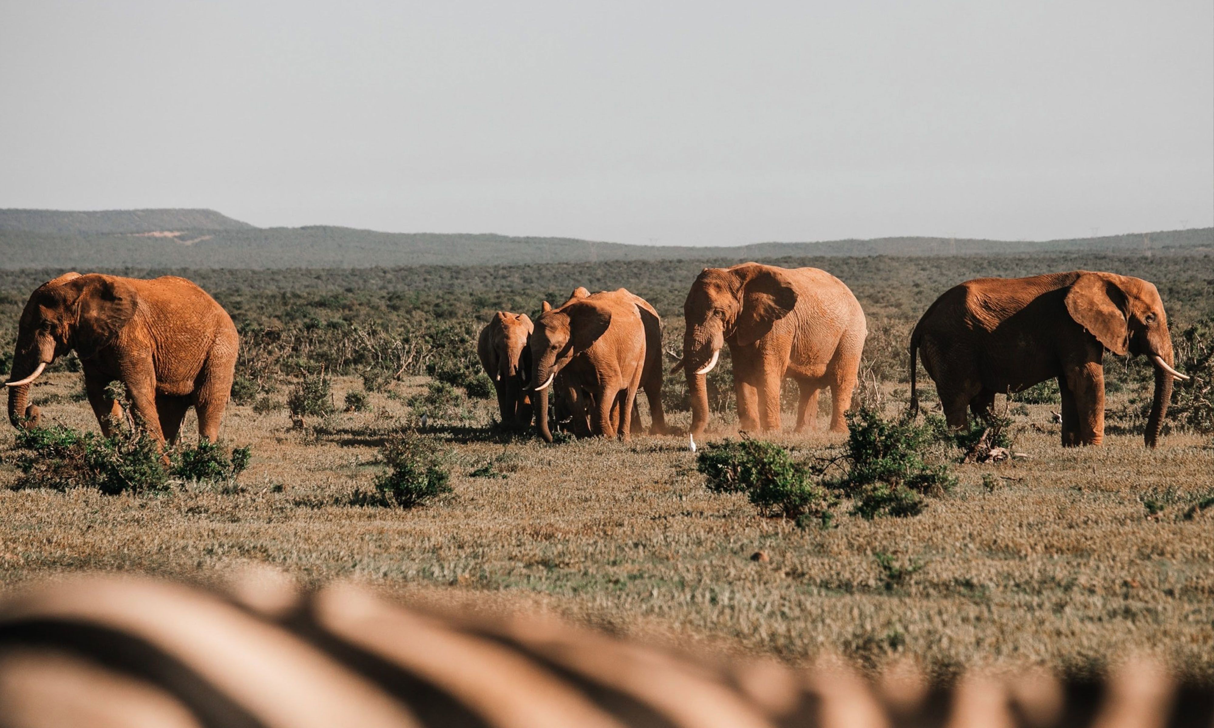 A Guide to Taking Great Wildlife Photos