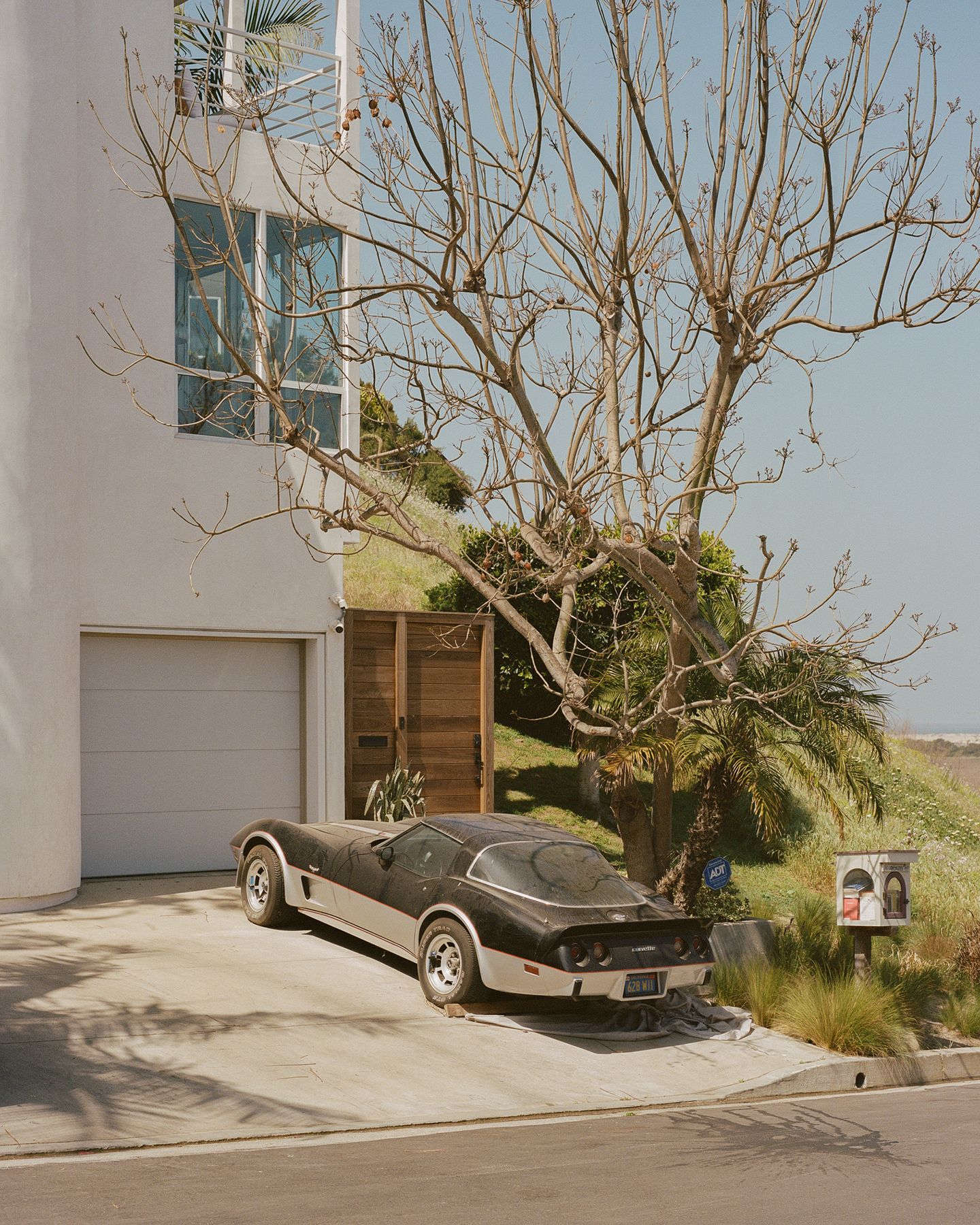 Beginner’s Guide to Using a Film Camera · Urth Magazine