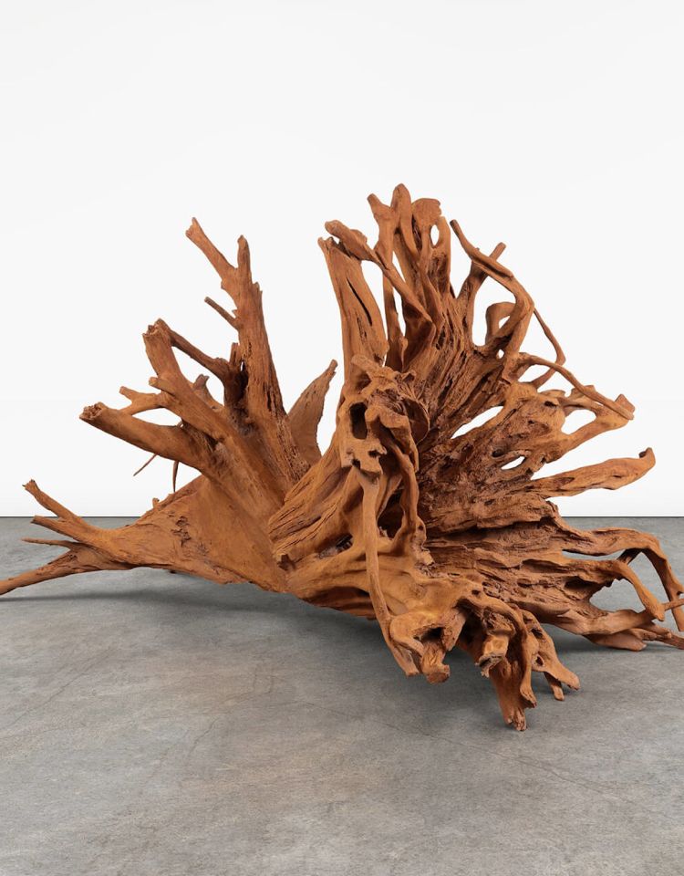 Roots Run Deep – The Work of Ai Weiwei