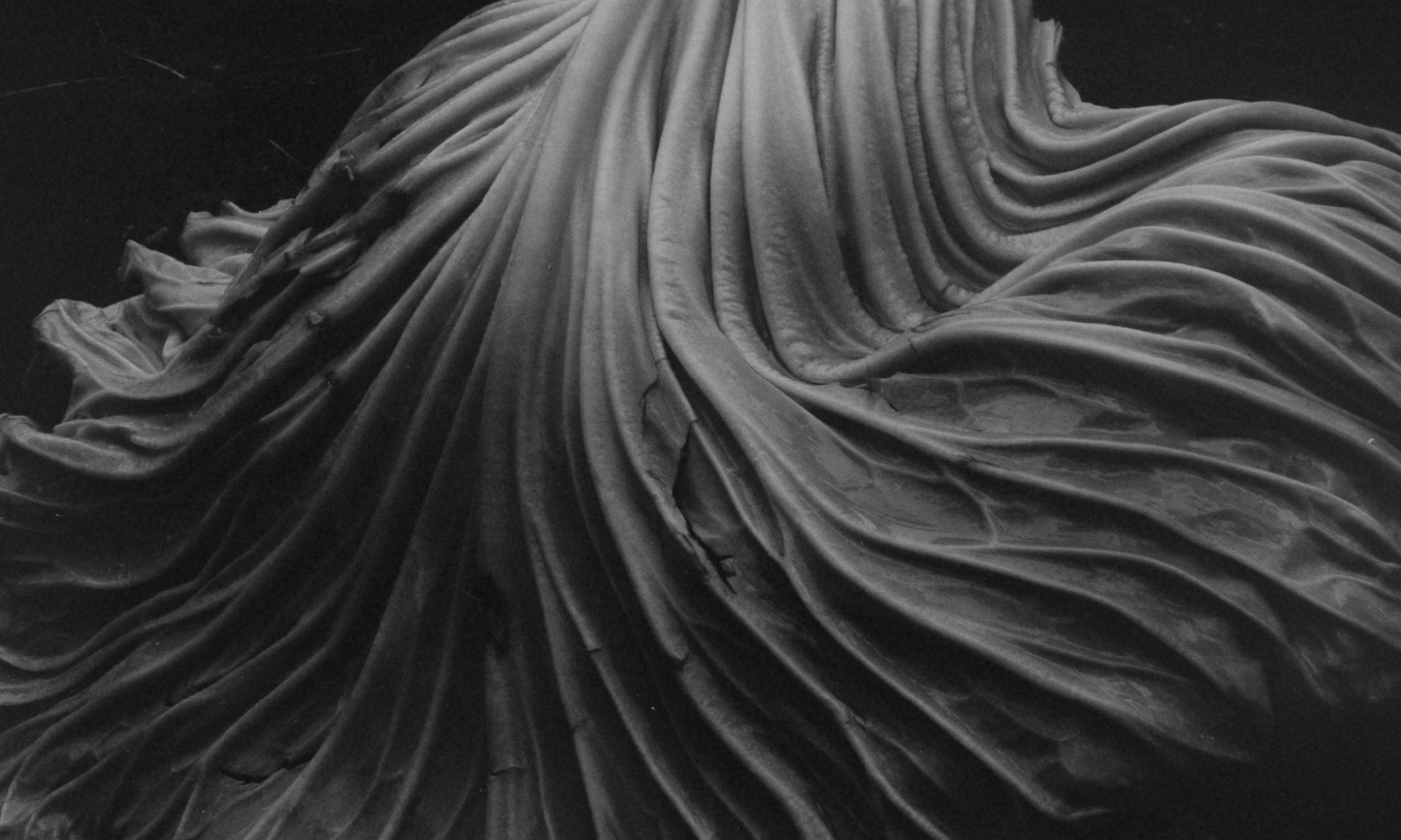 The Greats: How Edward Weston Pushed Photography into Modernity