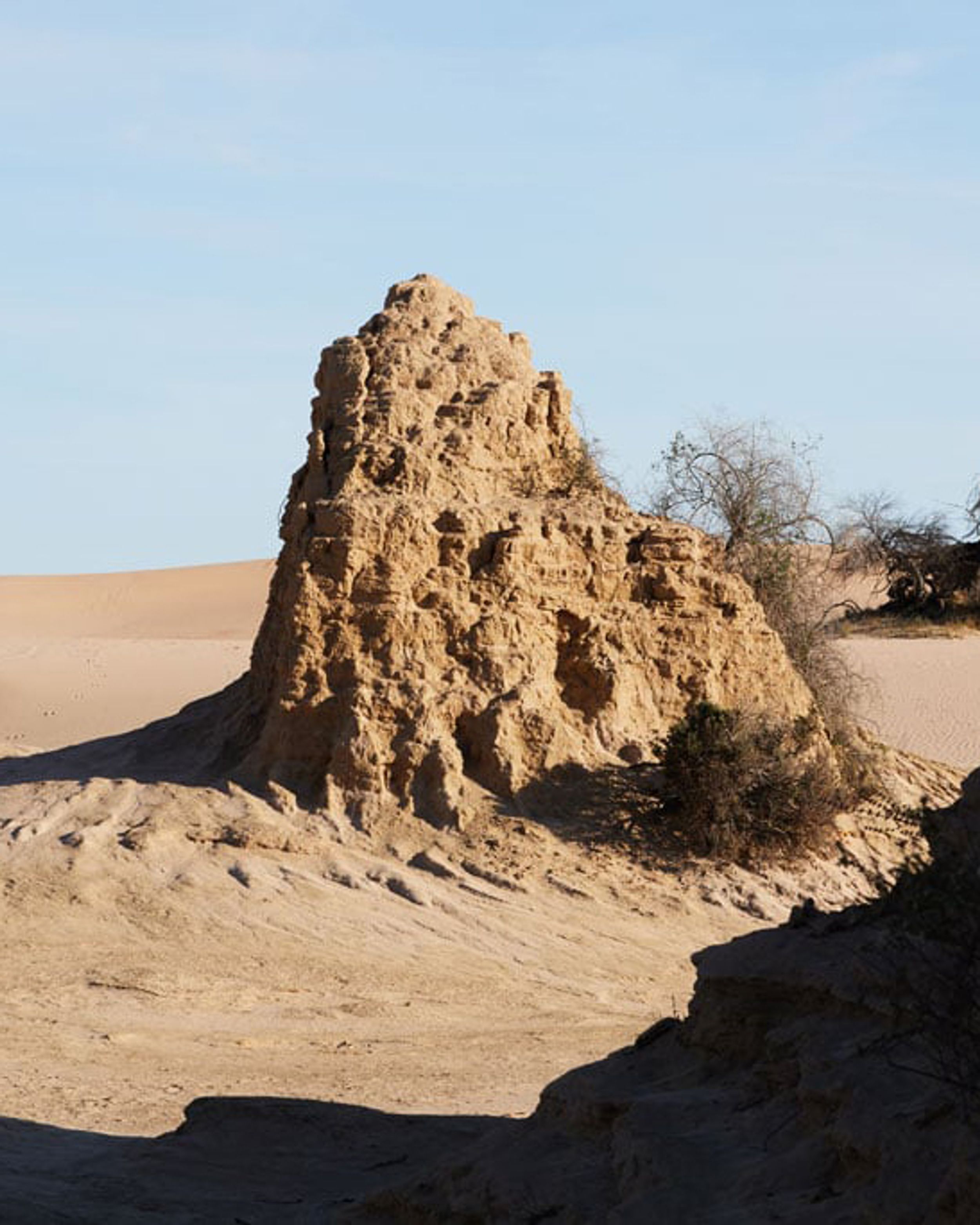 Understanding How Polarized Filters Work A Beginner's Guide (CPL